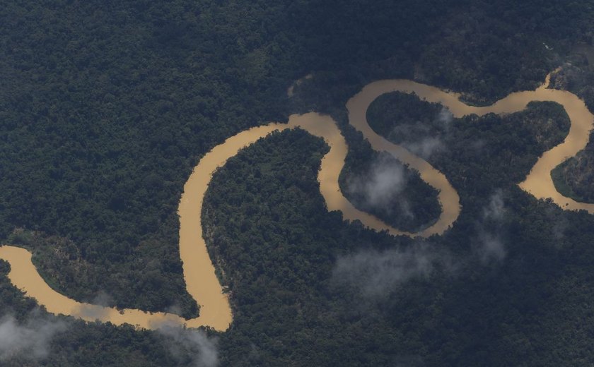 Cimi pede recomposição de comissão que acompanha crise Yanomami
