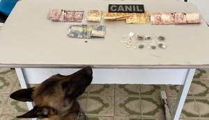 Abordagem com cão da PM em Arapiraca resulta em prisão por tráfico de drogas