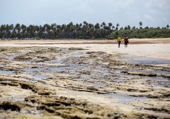 Pesquisa revela perfil do turista que visita a região Costa dos Corais