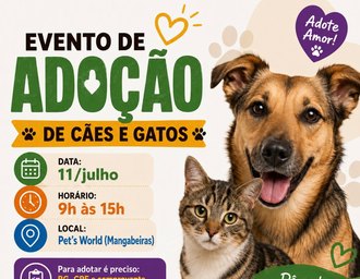 Evento em Maceió busca dar um novo lar a cães e gatos resgatados