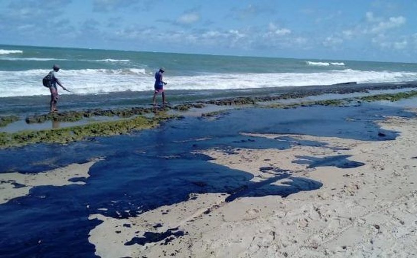 Em nova contagem do Ibama, óleo atinge mais de 800 pontos
