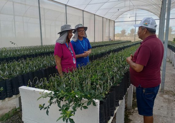 Adeal certifica viveiro de mudas de citros em Arapiraca