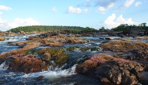 Pesquisadores denunciam ameaça por críticas a projeto de mineração no Xingu