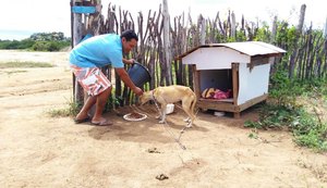 'Tenho amor', diz homem que vendeu casa para cuidar de cães abandonados na PB