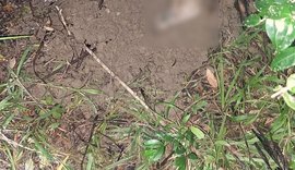 Corpo encontrado concretado em área de mata é de jovem de 21 anos desaparecido há três dias