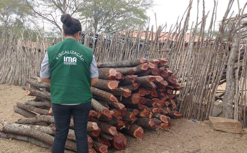 Fiscalização flagra desmatamento no município de Girau do Ponciano