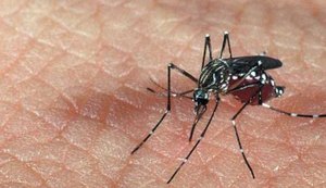 Casos de zika cresceram quase 3.000% no ano passado em Alagoas