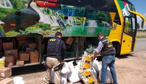 PRF apreende quase 500 kg de mercadorias sem nota fiscal na BR 101