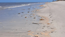 Peixes são encontrados mortos em praia da Barra de Santo Antônio