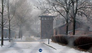 Polônia lança arquivo com nomes de guardas nazistas de Auschwitz