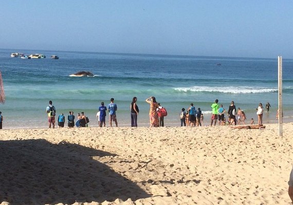 Baleia morre encalhada na Praia de Ipanema, no Rio de Janeiro