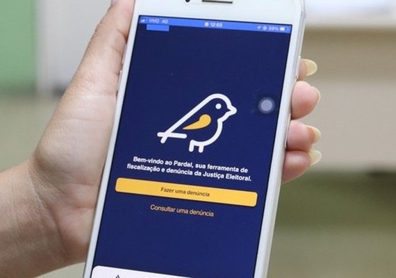 Pardal está no ar: aplicativo permite denunciar irregularidades de campanha
