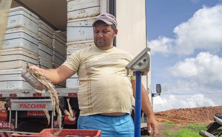 Arapiraca investe no cultivo de camarão