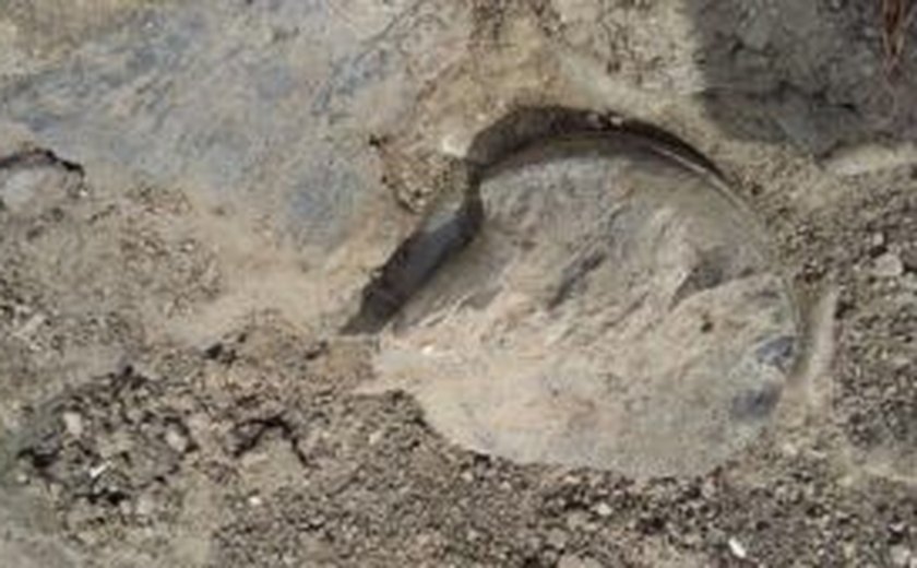 Adolescente pode ter achado fóssil de dinossauro no Sertão de Alagoas