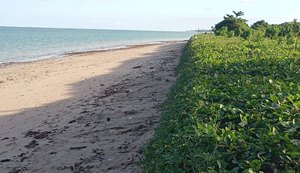 Soluções hibridas com uso de Geobags são as melhores escolhas para conter o avanço do mar nas praias alagoanas