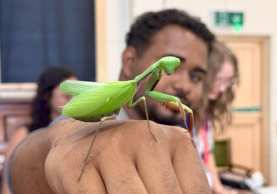 Alunos alagoanos visitam museu de história natural em Bournemouth
