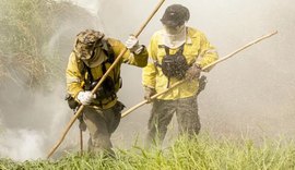 Governo autoriza contratação de brigadas federais pelo Prevfogo para atuar em dezenas de municípios