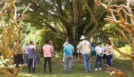 Circuito Corpo, Arte e Natureza promove imersão artística em meio à Natureza, em Maceió
