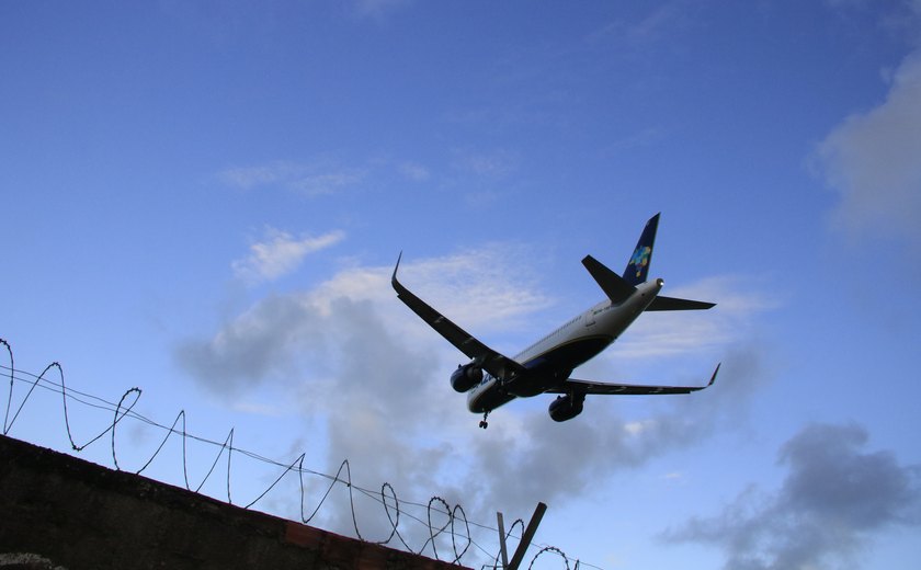 Alagoas soma 22 colisões de pássaros com aviões