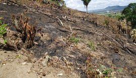Novo relatório do IMA aponta 516 focos de queimadas em Alagoas em duas semanas