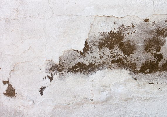 Saiba como preparar a sua casa para o período chuvoso