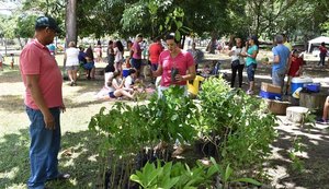 Maceió Rosa movimenta Parque do Horto no combate ao câncer de mama