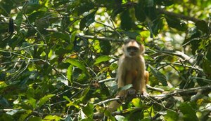 ONU coloca turismo no centro de políticas para proteção do meio ambiente e erradicação da pobreza