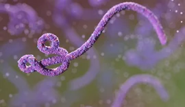 São Paulo investiga 2° caso suspeito de ebola em paciente de 31 anos