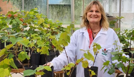 Pesquisa com homeopatia conquista prêmio internacional na Europa