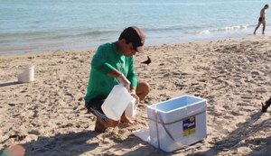 IMA e Ufal coletam amostras na costa de AL para avaliar qualidade das praias e do pescado