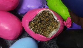 PM apreende quase 10 quilos de maconha escondidos em balões de festa durante operação integrada em Murici