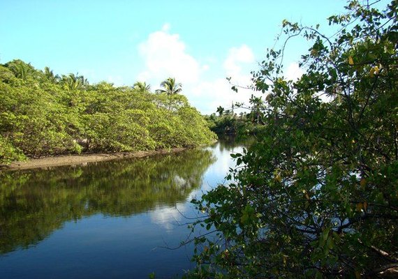 Casal é multada em R$ 200 mil por despejar esgoto no Rio Maragogi