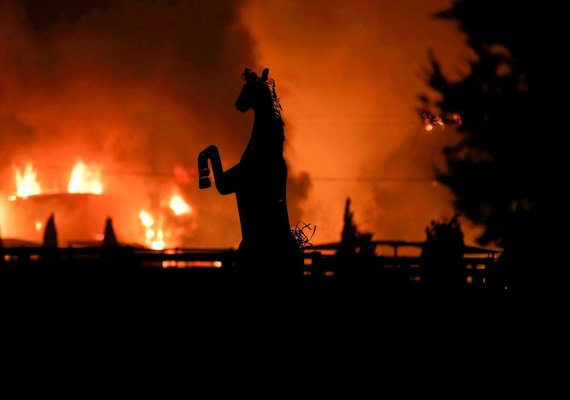 11 mil cientistas alertam que alterações climáticas trarão 'sofrimento incalculável'