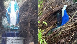 Vídeo: imagem de Nossa Senhora das Graças fica intacta após árvore cair em  estrutura