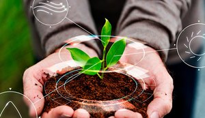 SMS monitora populações de áreas expostas à poluição atmosférica