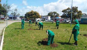Praça da Faculdade ganhará mais de 200 mudas no Bairro Verde