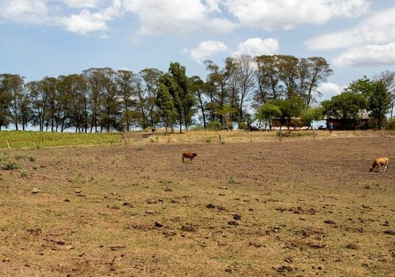 Seca no Nordeste intensificou e avançou na região, conforme última atualização do Monitor de Secas