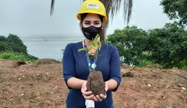 Plantio de árvores nativas celebra Dia Mundial do Meio Ambiente