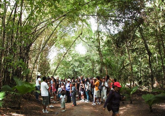 Parque Municipal de Maceió lança projeto 'Férias no Parque'