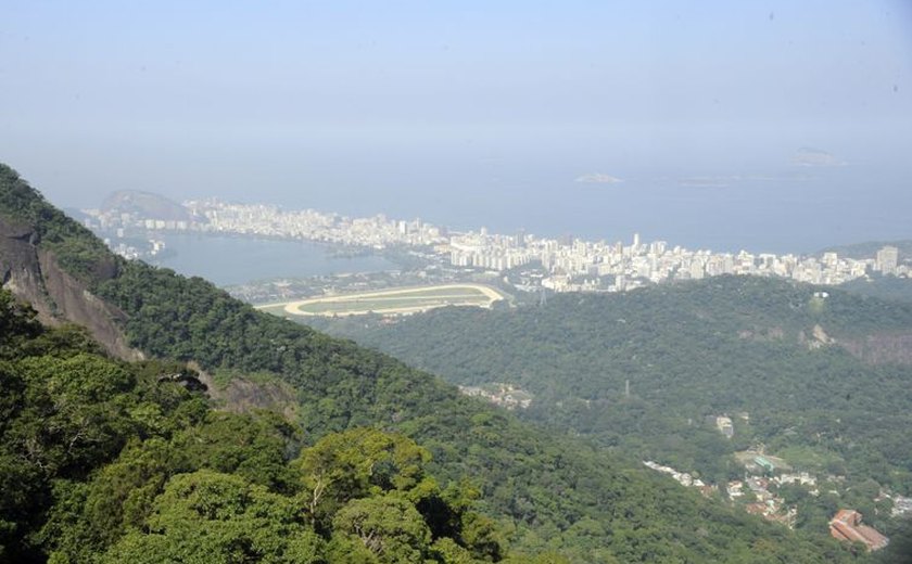 Cientistas dizem que Brasil pode ser líder em desenvolvimento sustentável