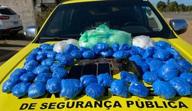 PM apreende 14 armas de fogo e 9 kg de drogas