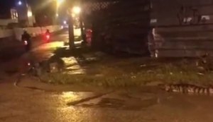 Jacaré aparece ''passeando'' em avenida do bairro de Bebedouro