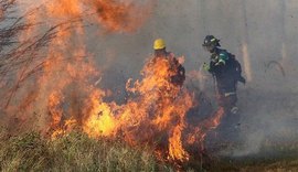 Incêndio destrói 500 mil hectares de vegetação na Bolívia e abala campanha de Evo Morales