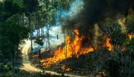 Ministério do Meio Ambiente quase zera verba para o clima