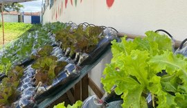 Sedics inaugura hortas hidropônicas automatizadas em escolas públicas