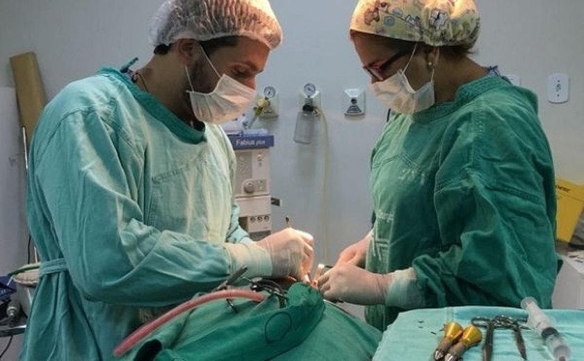 Mutirão agenda mais de 500 cirurgias; próxima etapa será no Jacintinho