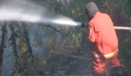 Alagoas registra 460 incêndios em vegetação