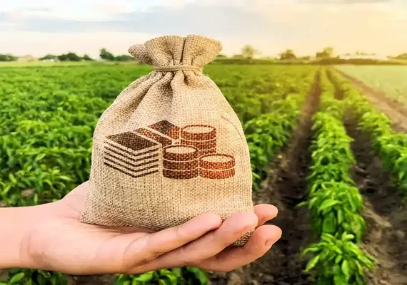 Financiamentos para indústria e agroindústria crescem 150% em Alagoas