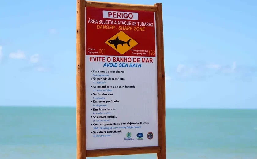 Adolescente de 13 anos morre após ataque de tubarão em praia de Olinda