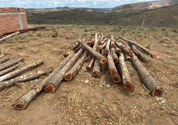 FPI 2023: Propriedade em Traipu é autuada por desmatamento de 200 hectares